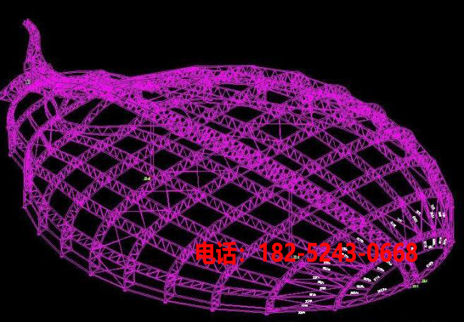 熱帶雨林場館網架